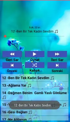 Karışık türküler. (internetsiz android App screenshot 0