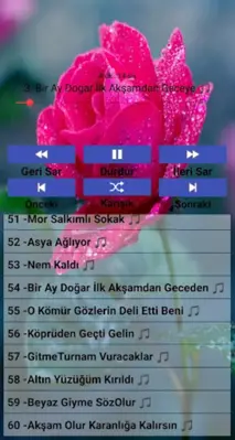 Karışık türküler. (internetsiz android App screenshot 5