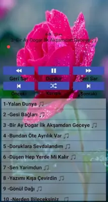 Karışık türküler. (internetsiz android App screenshot 6